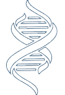 Science IT
